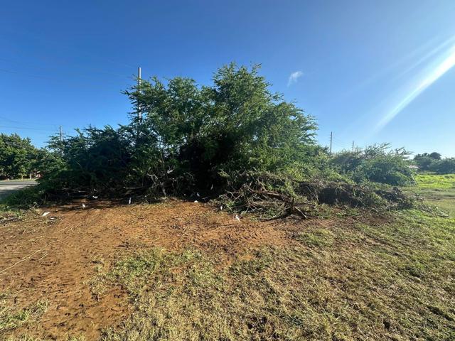 Excavation and heavy equipment job by J&J Digger in western Puerto Rico